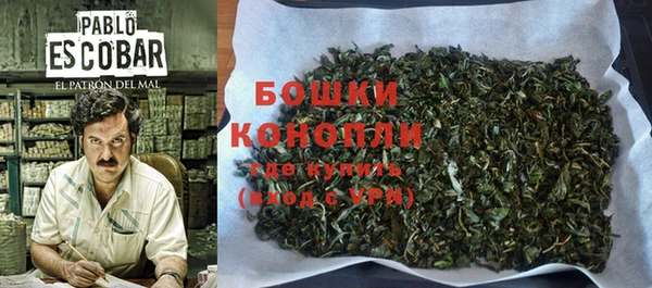 индика Балабаново