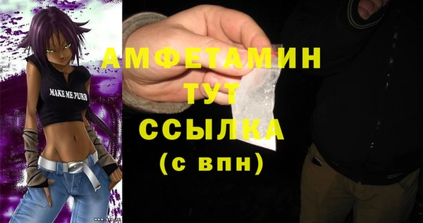 индика Балабаново
