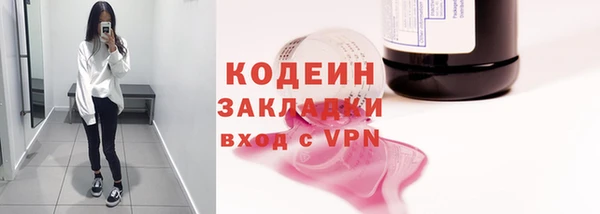 индика Балабаново