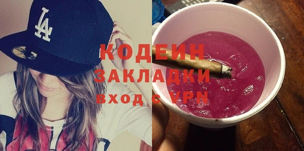 индика Балабаново
