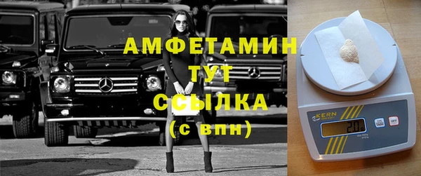 индика Балабаново