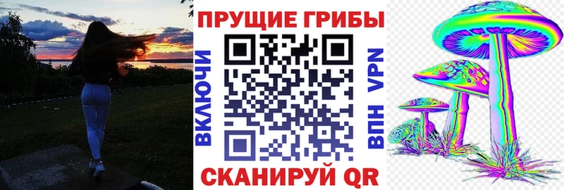 Псилоцибиновые грибы MAGIC MUSHROOMS  закладка  Заозёрск 